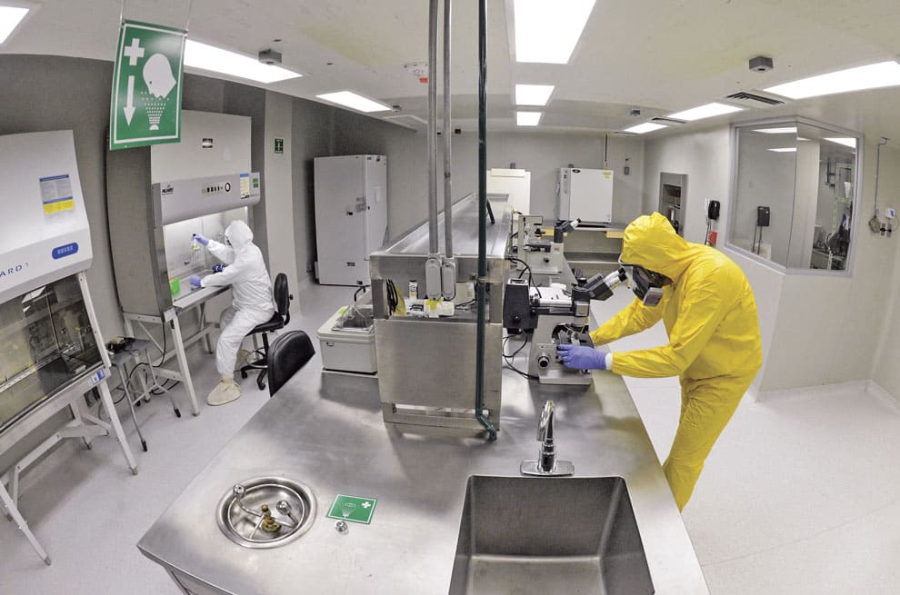Lanzamos nuevos productos con éxito... pero esta vez el mercado nos falló